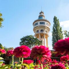 Отель Ensana Thermal Margitsziget Health Spa Hotel Венгрия, Будапешт - - забронировать отель Ensana Thermal Margitsziget Health Spa Hotel, цены и фото номеров фото 5