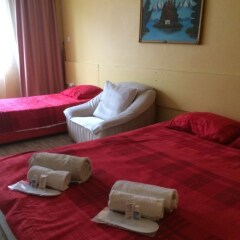 Отель Altinova Otel Pansiyon в номере