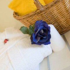 Hotel Borgo dei Poeti Wellness Resort Манерба-дель-Гарда с домашними животными