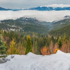 Гостиница Charlton Estate Украина, Буковель - отзывы, цены и фото номеров - забронировать гостиницу Charlton Estate онлайн фото 5