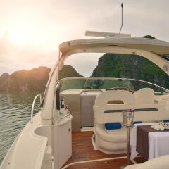 Отель Paradise Luxury Cruise с домашними животными