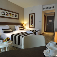 Baia Bursa Hotel Турция, Бурса - отзывы, цены и фото номеров - забронировать отель Baia Bursa Hotel онлайн в номере