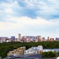Отель The Westin Tokyo Япония, Токио - отзывы, цены и фото номеров - забронировать отель The Westin Tokyo онлайн балкон