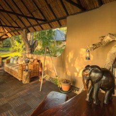 Xaro Lodge in Okavango Delta, Botswana from 450$, photos, reviews - zenhotels.com entertainment