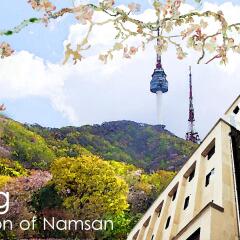 Отель N Fourseason Hotel Myeongdong Южная Корея, Сеул - отзывы, цены и фото номеров - забронировать отель N Fourseason Hotel Myeongdong онлайн
