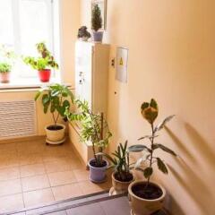 Гостиница Hostel44 в номере