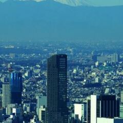 Отель The Ritz Carlton Tokyo Токио пляж
