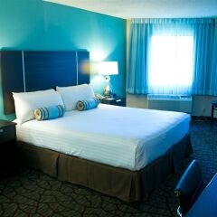 Отель Silver Sevens Hotel & Casino США, Лас-Вегас - отзывы, цены и фото номеров - забронировать отель Silver Sevens Hotel & Casino онлайн удобства в номере фото 2