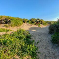 Отель Back of Beyond Dune Camp - Yala