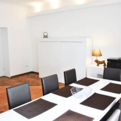 Отель Schönbrunn Park Apartement Австрия, Вена - отзывы, цены и фото номеров - забронировать отель Schönbrunn Park Apartement онлайн помещение для мероприятий фото 2