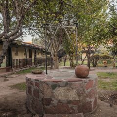 Hotel Mision Cerocahui фото 10
