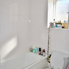 Отель Brighton 1 Bedroom Flat ванная