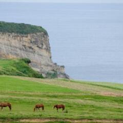 Отель Posada Punta Ballota фото 2