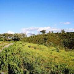 Отель Buddha Peaceful Oasis Алкасер-ду-Сал фото 8