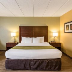 Comfort Inn Plymouth - Minneapolis in Plymouth, United States of America from 138$, photos, reviews - zenhotels.com guestroom photo 3