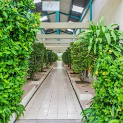 Отель Baantonsai Garden Resort