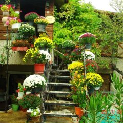 Отель Kapor Organik çiftlik evi Аванос фото 4
