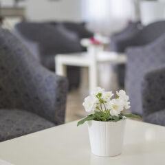 Hotel Miriam интерьер отеля фото 2