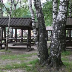 Парк-отель Берендеевка фото 7