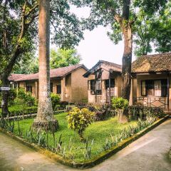 Отель Chitwan Adventure Resort Непал, Саураха - отзывы, цены и фото номеров - забронировать отель Chitwan Adventure Resort онлайн фото 13
