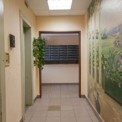 Гостиница Spikado Apartment Sineva в Москве отзывы, цены и фото номеров - забронировать гостиницу Spikado Apartment Sineva онлайн Москва интерьер отеля