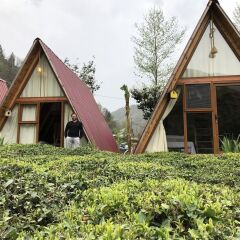 Отель Tabiat Bungalows Чамлыхемшин фото 2