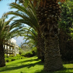 Отель Grecotel Meli Palace фото 9