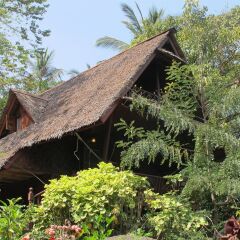 Отель Koh Tao Royal Resort с домашними животными