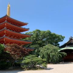 Отель TATERU bnb SUMIYOSHI A фото 6