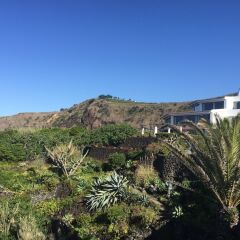 Отель Caloura Hotel Resort Португалия, Агуа-де-Пау - 3 отзыва об отеле, цены и фото номеров - забронировать отель Caloura Hotel Resort онлайн фото 11