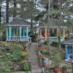 Отель Elizabeth - Baguio Филиппины, Багуйо - отзывы, цены и фото номеров - забронировать отель Elizabeth - Baguio онлайн фото 7