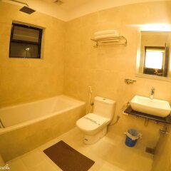 Отель Dreamland Gold Resort Pvt Ltd Непал, Лумбини - отзывы, цены и фото номеров - забронировать отель Dreamland Gold Resort Pvt Ltd онлайн ванная