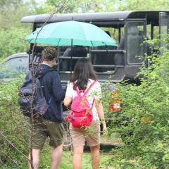 Отель Leopard Nest Luxury Campsite