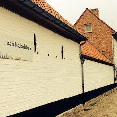 Отель B&B Lisdodde городской автобус