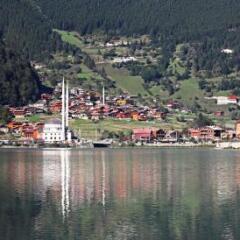 Royal Uzungol Hotel&Spa Турция, Узунгёль - отзывы, цены и фото номеров - забронировать отель Royal Uzungol Hotel&Spa онлайн приотельная территория