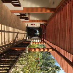 Отель Palm Beach Resort Таиланд, Пак-Нам-Пран - отзывы, цены и фото номеров - забронировать отель Palm Beach Resort онлайн развлечения