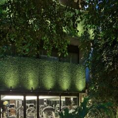 Отель Las Suites Campos Eliseos Мехико приотельная территория