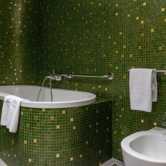 Отель Domina (Новосибирск) 5* Стандартный номер фото 17