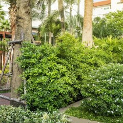 Отель Jomtien Palm Beach Hotel And Resort Таиланд, Паттайя - 10 отзывов об отеле, цены и фото номеров - забронировать отель Jomtien Palm Beach Hotel And Resort онлайн фото 7