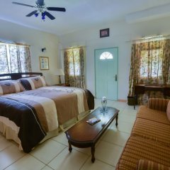ClarenceVille Villa Apartments in Grand Anse, Grenada from 72$, photos, reviews - zenhotels.com guestroom photo 2