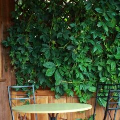Отель Guest House Astra фото 5