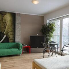 Отель Hostel Kaktus Польша, Катовице - отзывы, цены и фото номеров - забронировать отель Hostel Kaktus онлайн комната для гостей