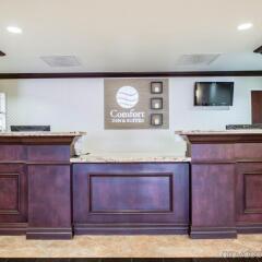 Отель Comfort Inn & Suites Maingate South интерьер отеля фото 3
