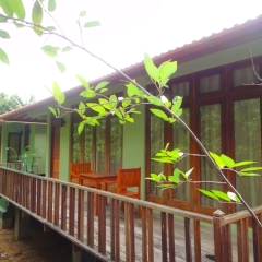 Отель Riverdale Eco Resort балкон