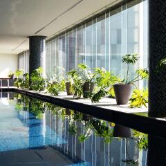 Отель Plaza Suites Mexico City Hotel Мексика, Мехико - отзывы, цены и фото номеров - забронировать отель Plaza Suites Mexico City Hotel онлайн бассейн