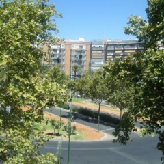 Отель Pension Gran Plaza