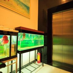 Mimosa Hotel интерьер отеля
