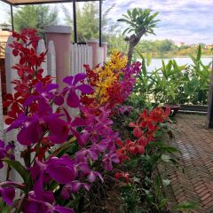 Отель Villa Orchid Garden Riverside фото 21