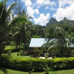 Отель Marks Place Moorea Французская Полинезия, Муреа - отзывы, цены и фото номеров - забронировать отель Marks Place Moorea онлайн фото 4