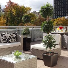 Отель Le Saint-Sulpice Hotel Montreal Канада, Монреаль - отзывы, цены и фото номеров - забронировать отель Le Saint-Sulpice Hotel Montreal онлайн фото 4